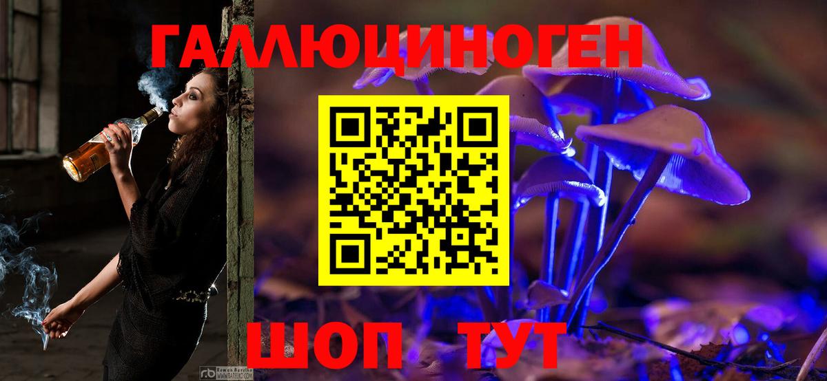 Галлюциногенные грибы Cubensis Нефтекумск
