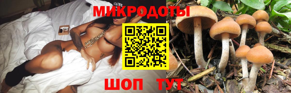 купить наркоту  Псилоцибиновые грибы мицелий  Вход с VPN  Нефтекумск 